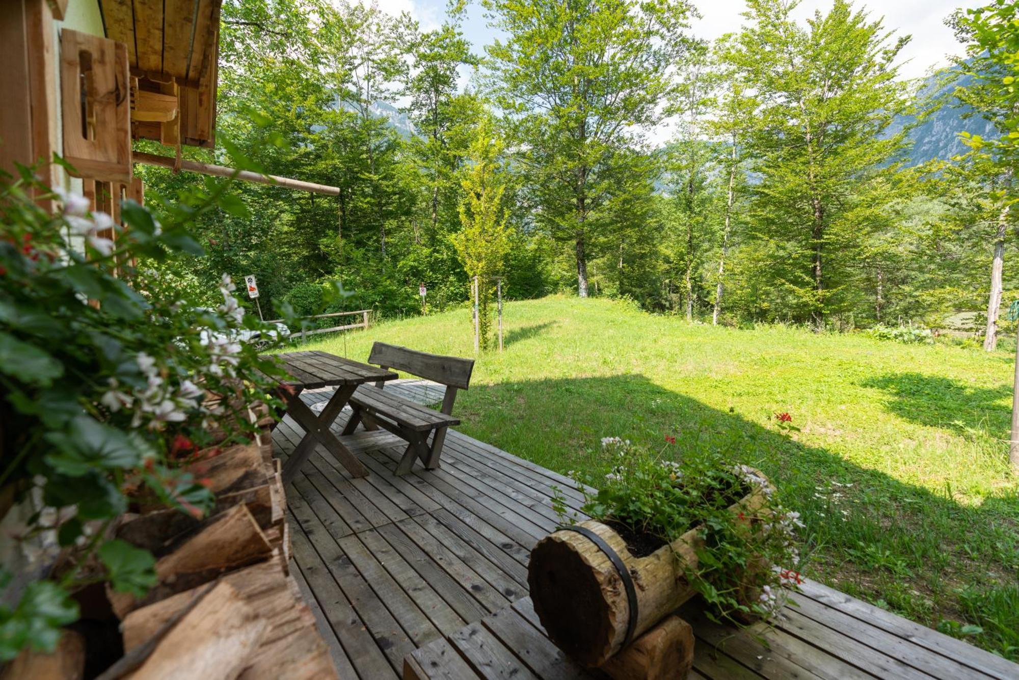 Alpik Chalets - Bohinj Exteriör bild