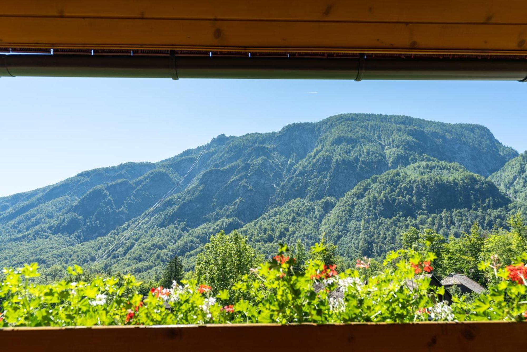 Alpik Chalets - Bohinj Rum bild